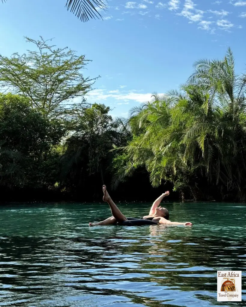 Kikuletwa Hot Springs