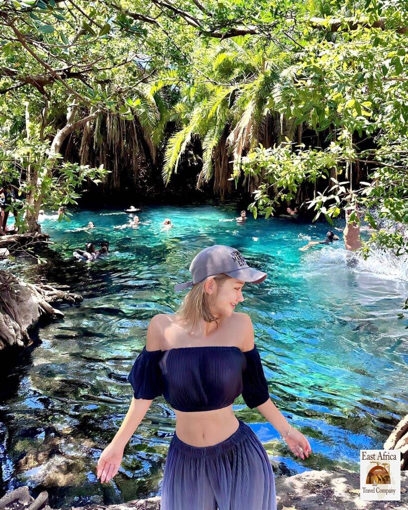 Kikuletwa Hot Springs