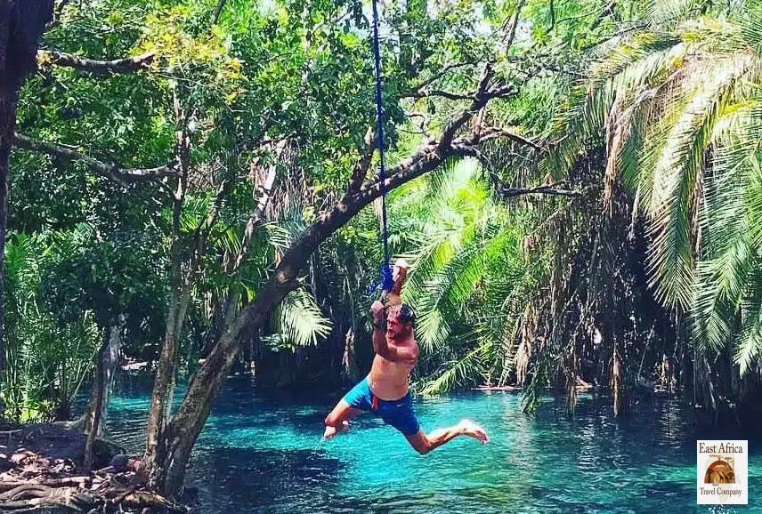 Kikuletwa Hot Springs
