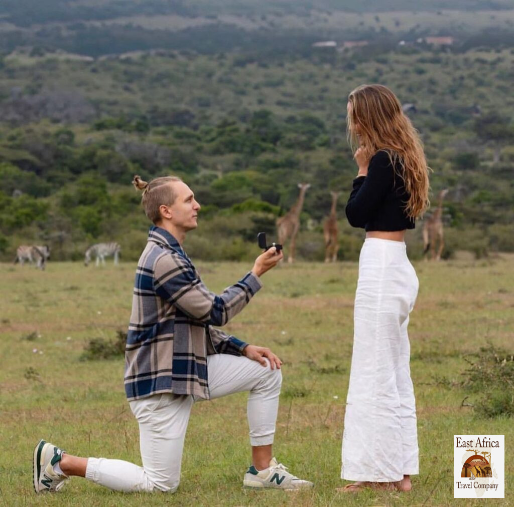 Arusha Safari Experience