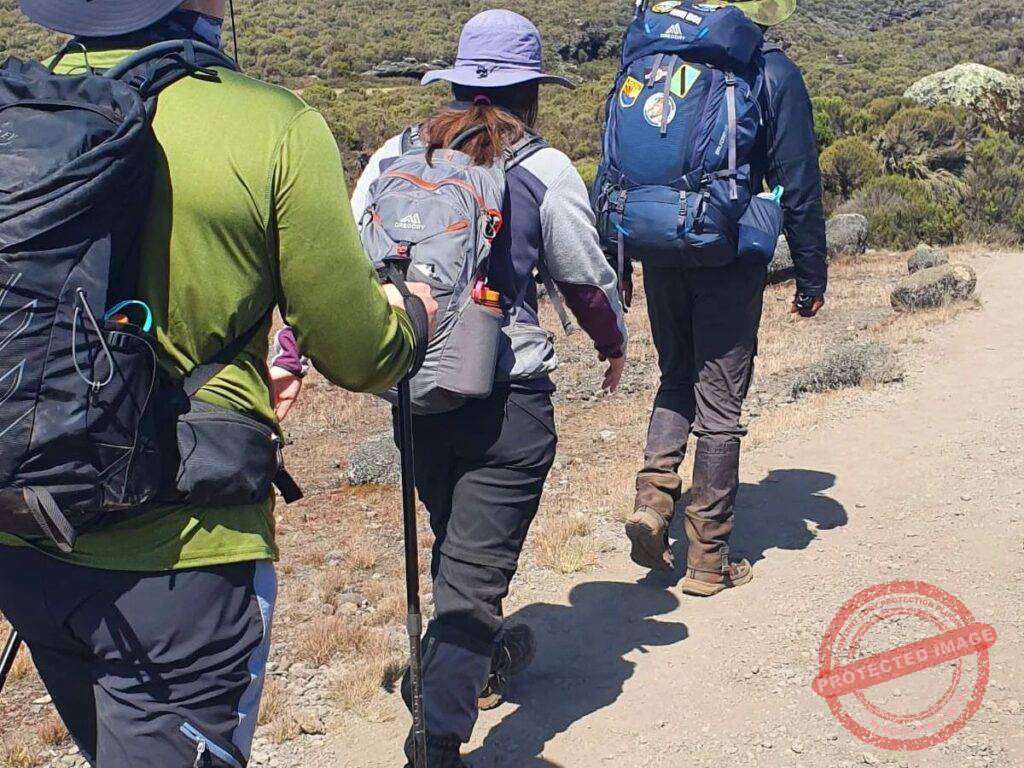 Marangu Day Hike Experience the Majesty of Kilimanjaro in a Day