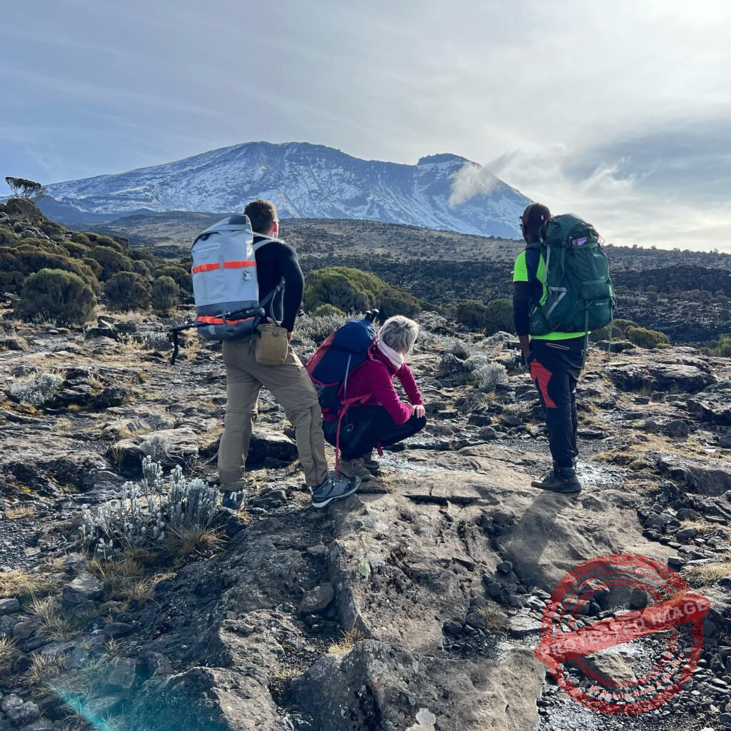 Marangu Short Trek Marangu Short Trek