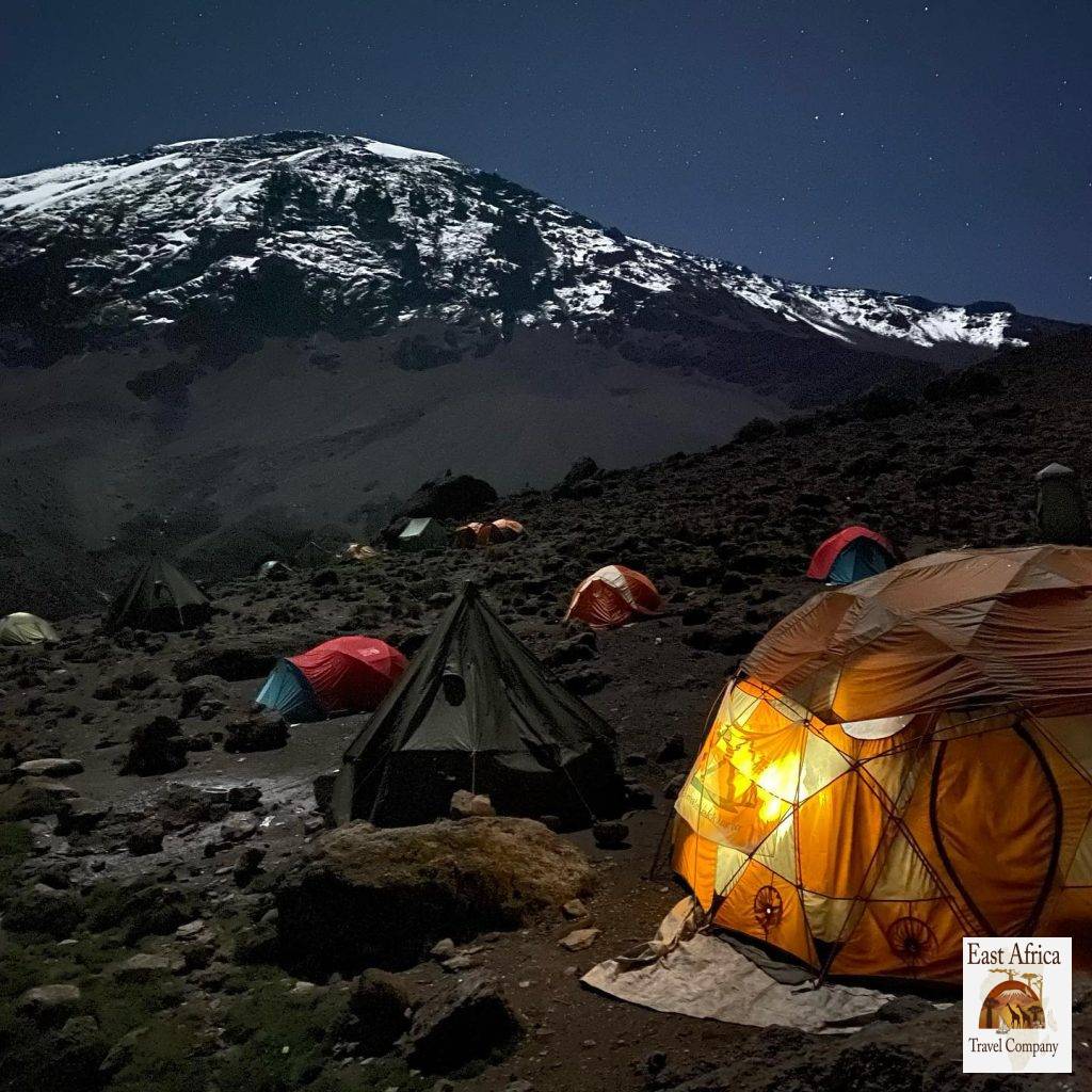 Kilimanjaro Trekking Kilimanjaro Trekking