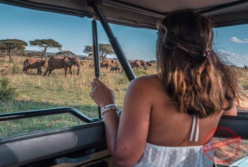 4-Day Tanzania Safari
