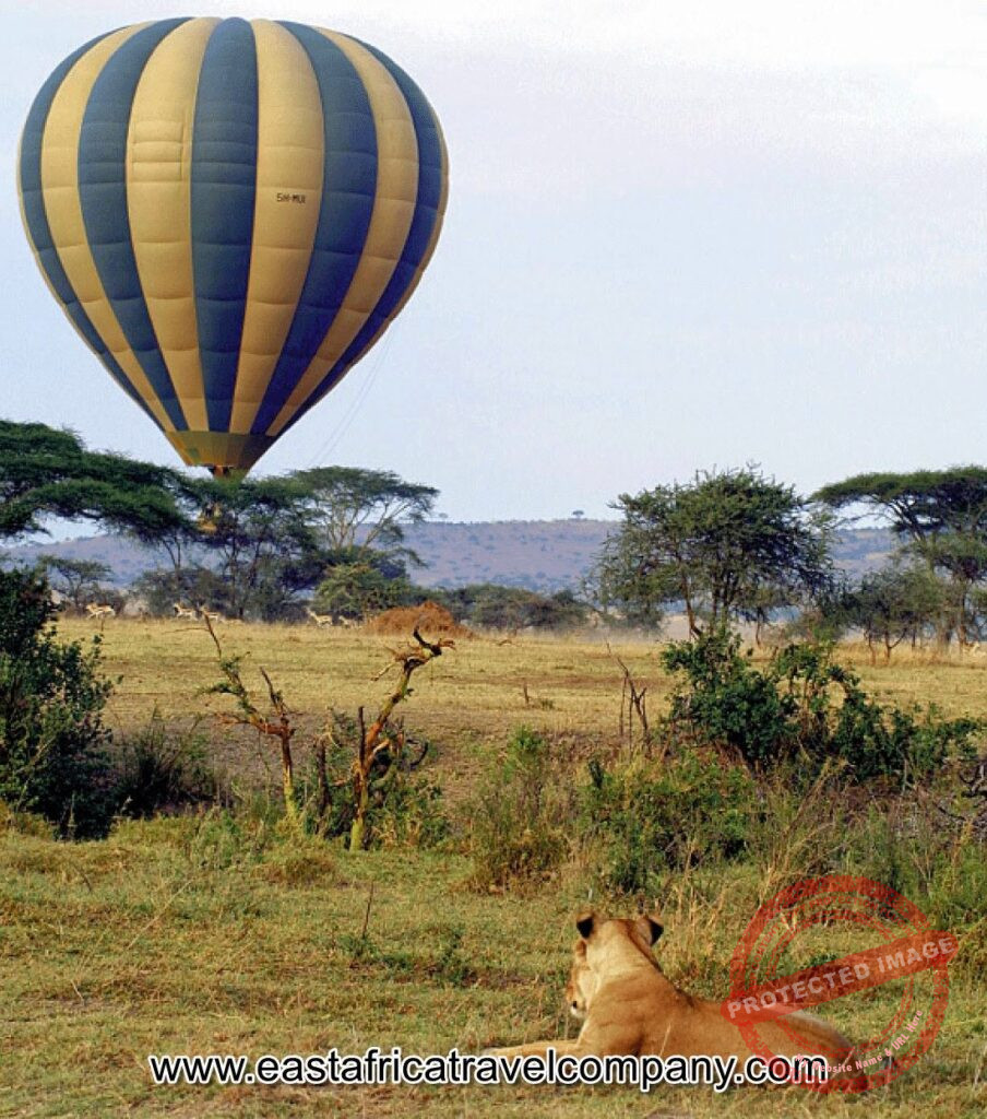 Home east africa travel company