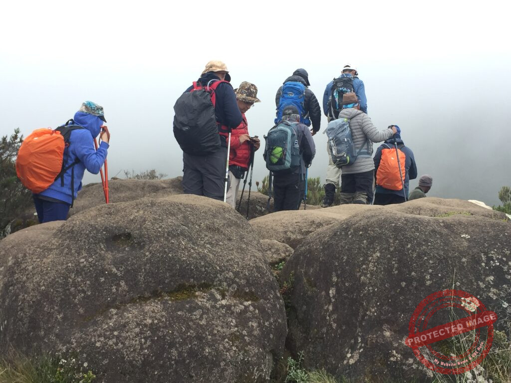 Climbing Kilimanjaro Climbing Kilimanjaro