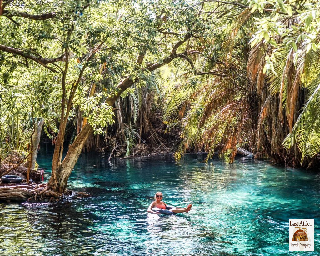 Kikuletwa Hot Springs