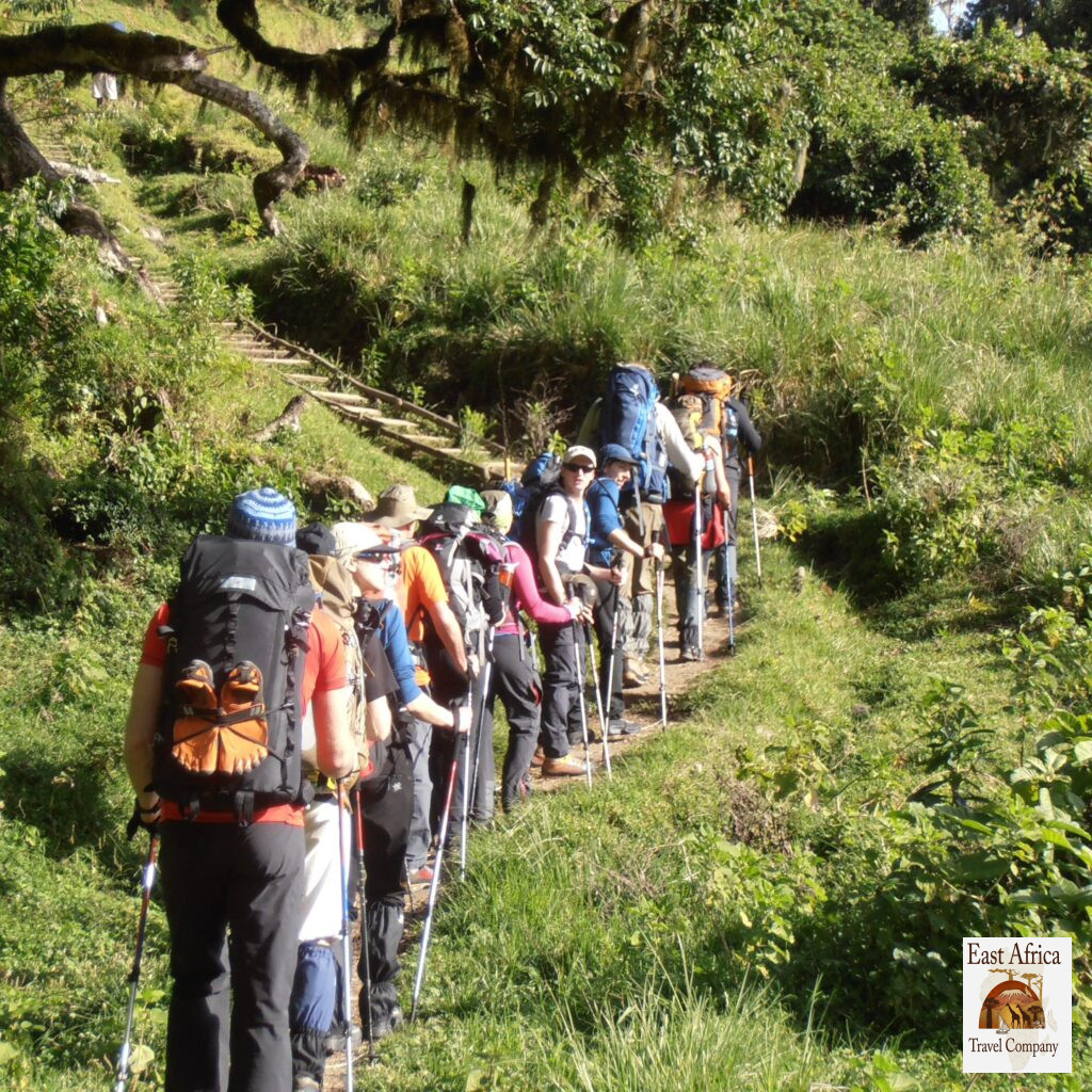 Mount Meru mt meru trek