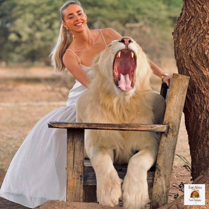 east africa travel company