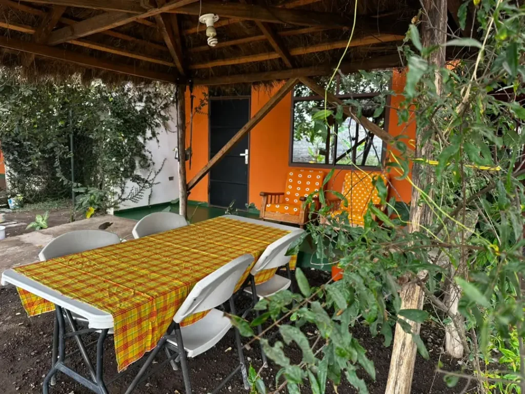 East Homestay: Best Budget Stay Near Kilimanjaro Airport  - EAST