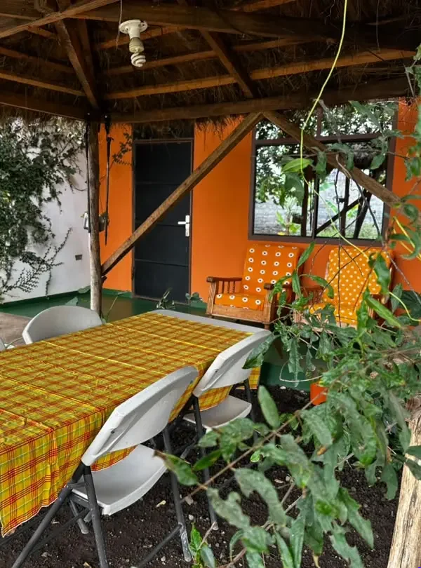 East Homestay: Best Budget Stay Near Kilimanjaro Airport  - EAST