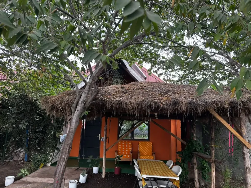 East Homestay: Best Budget Stay Near Kilimanjaro Airport  - EAST