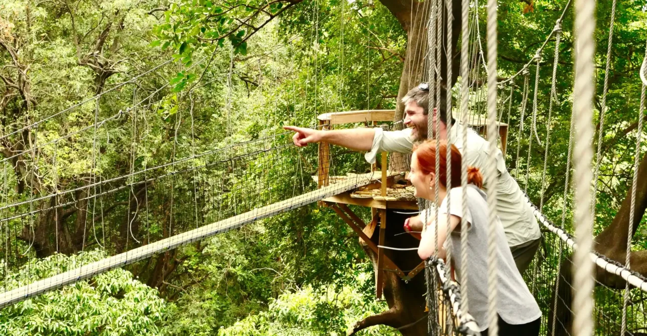 East Africa Adventure: Top 5 Thrilling Safaris