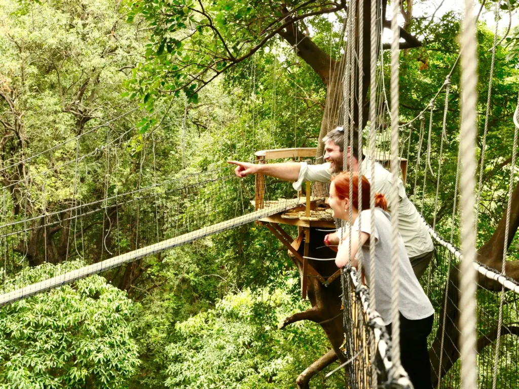 4-Day Tanzania Safari  - EAST