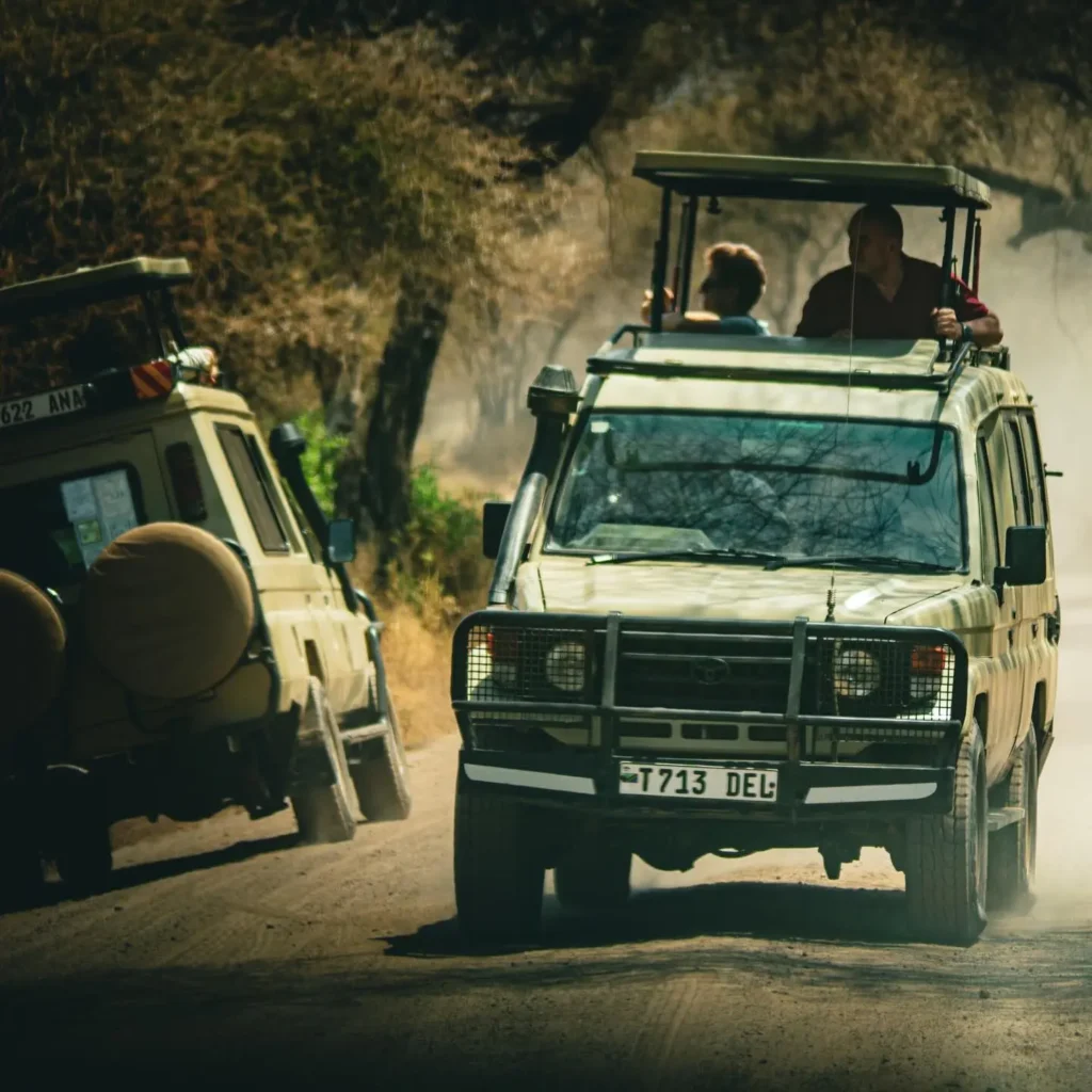 4 day tanzania safari my blog