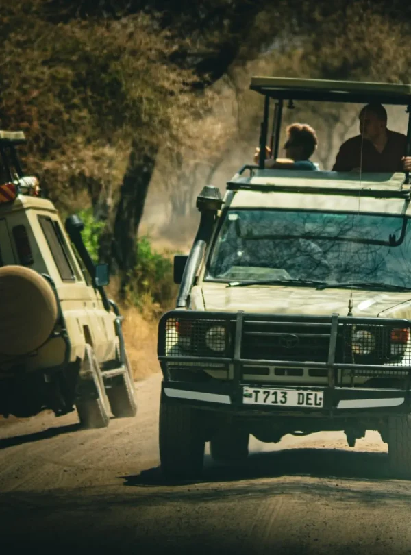 4 day tanzania safari my blog
