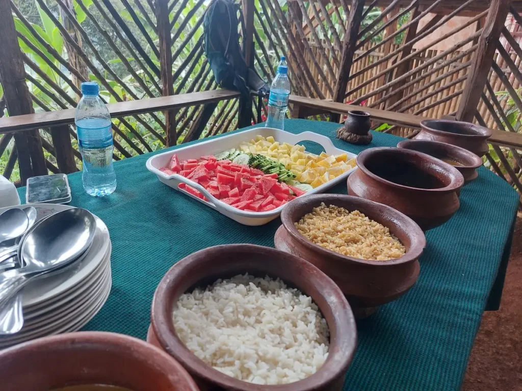 Materuni Waterfall Hike & Coffee Tour: Best Moshi Day Trip  - EAST