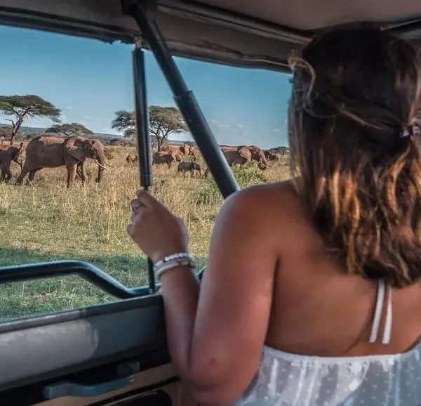 6-Day Tanzania Big Five Safari  - EAST