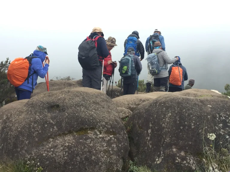 Climbing Kilimanjaro  - EAST