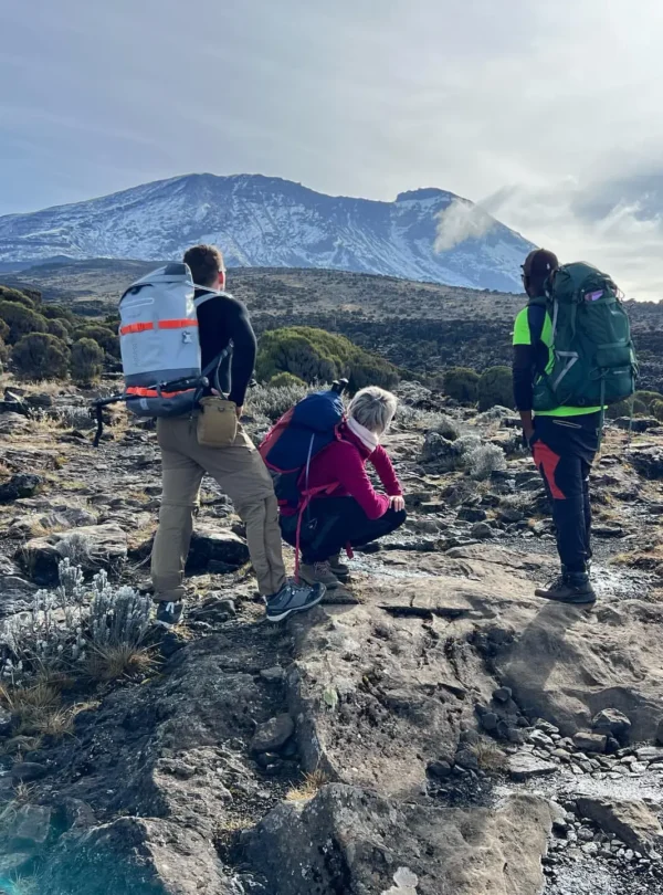 8 day lemosho route | kilimanjaro’s highest success rate my blog