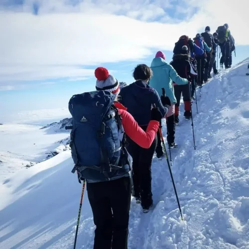 8 day lemosho route | kilimanjaro’s highest success rate my blog