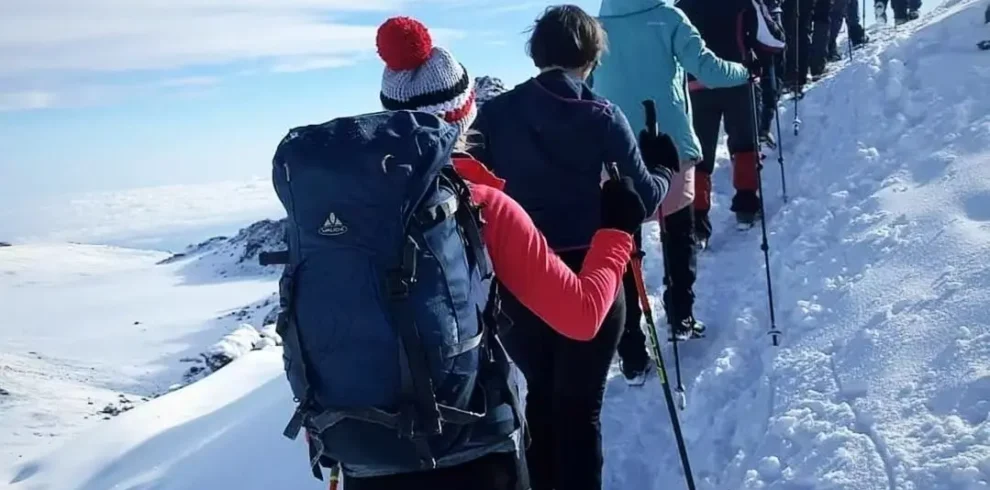 8 day lemosho route | kilimanjaro’s highest success rate my blog