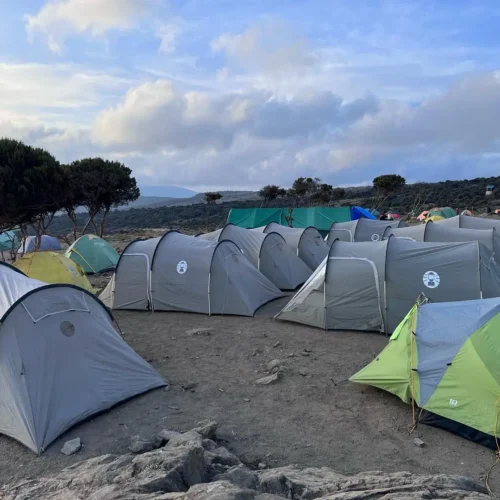 6 day rongai route: kilimanjaro success experts my blog