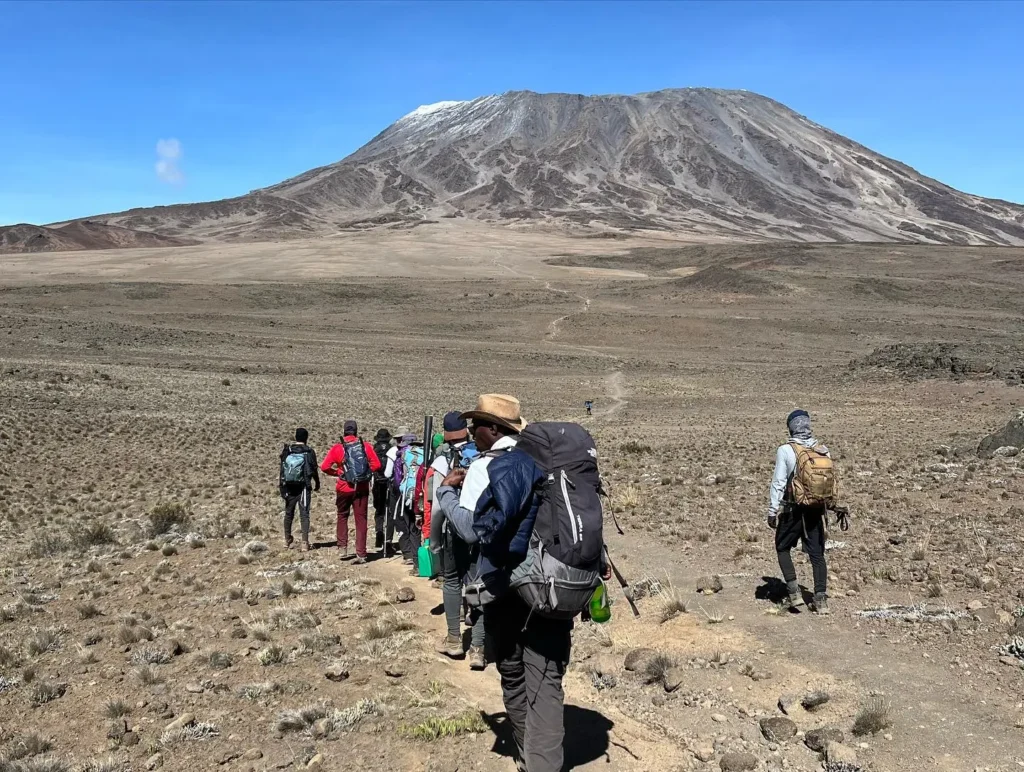7 day rongai route kilimanjaro trek: high success rate my blog