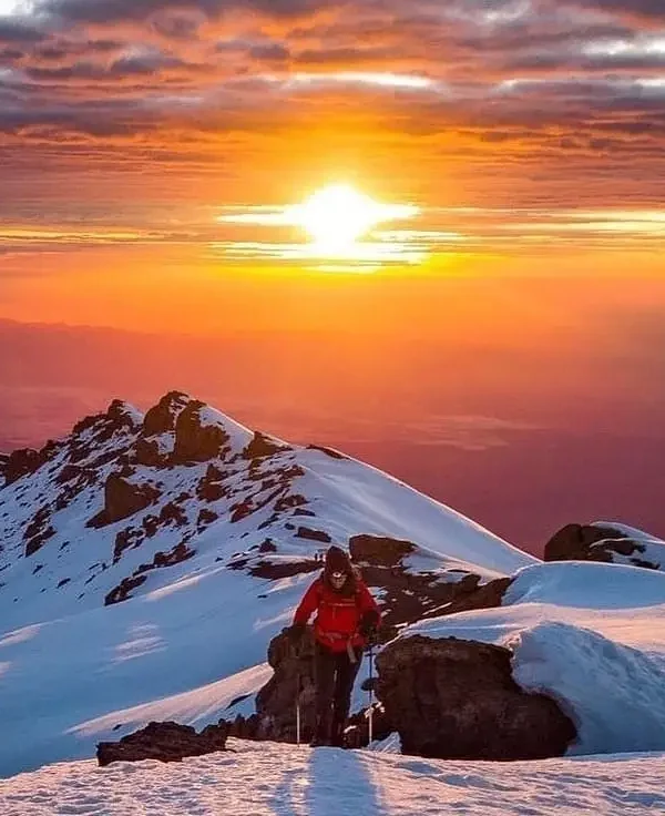 7 day machame route kilimanjaro trek | high success rate my blog