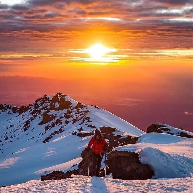 7 day machame route kilimanjaro trek | high success rate my blog