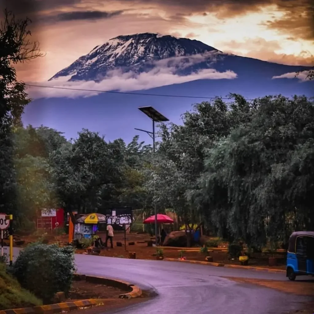 Mount Kilimanjaro Africa: 4 Best Safaris  - EAST