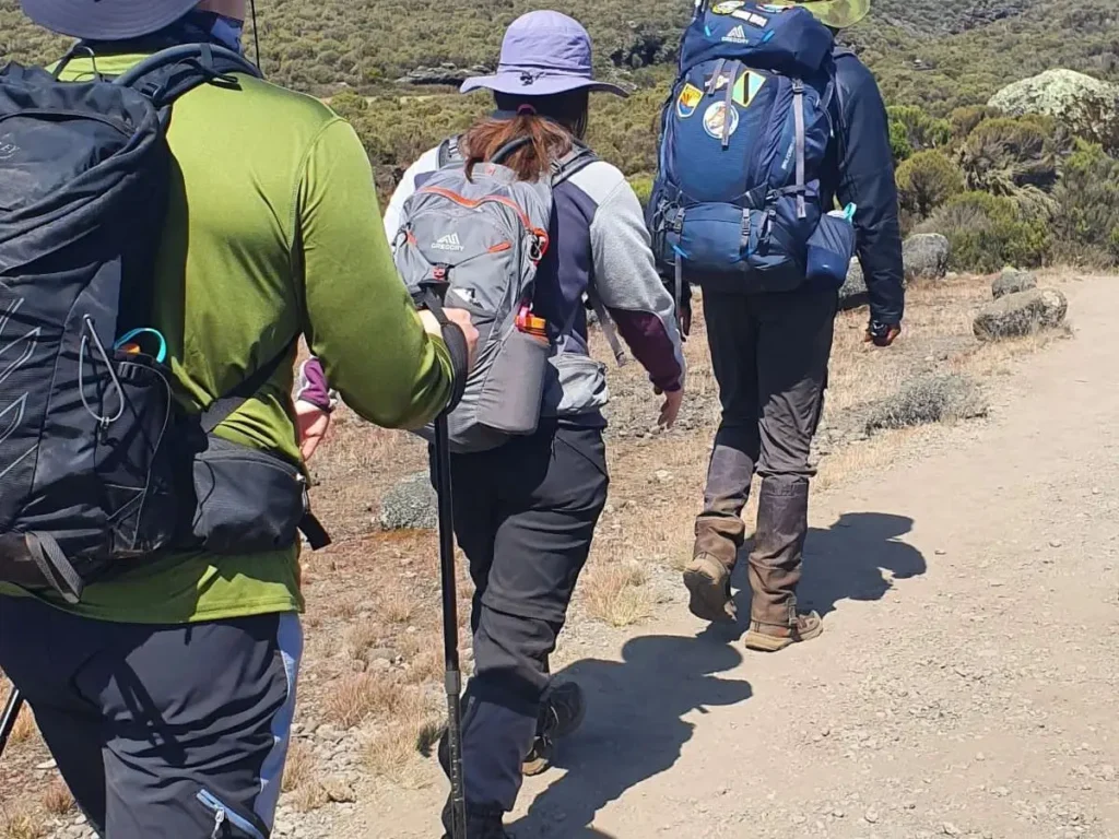 Mt Kilimanjaro in Tanzania: 5 Best Treks Mt Kilimanjaro in Tanzania - EAST