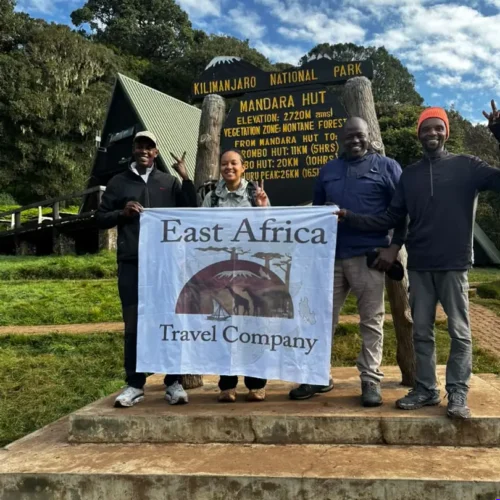 Kilimanjaro Day Hike: 1 Epic Trek Kilimanjaro Day Hike - EAST