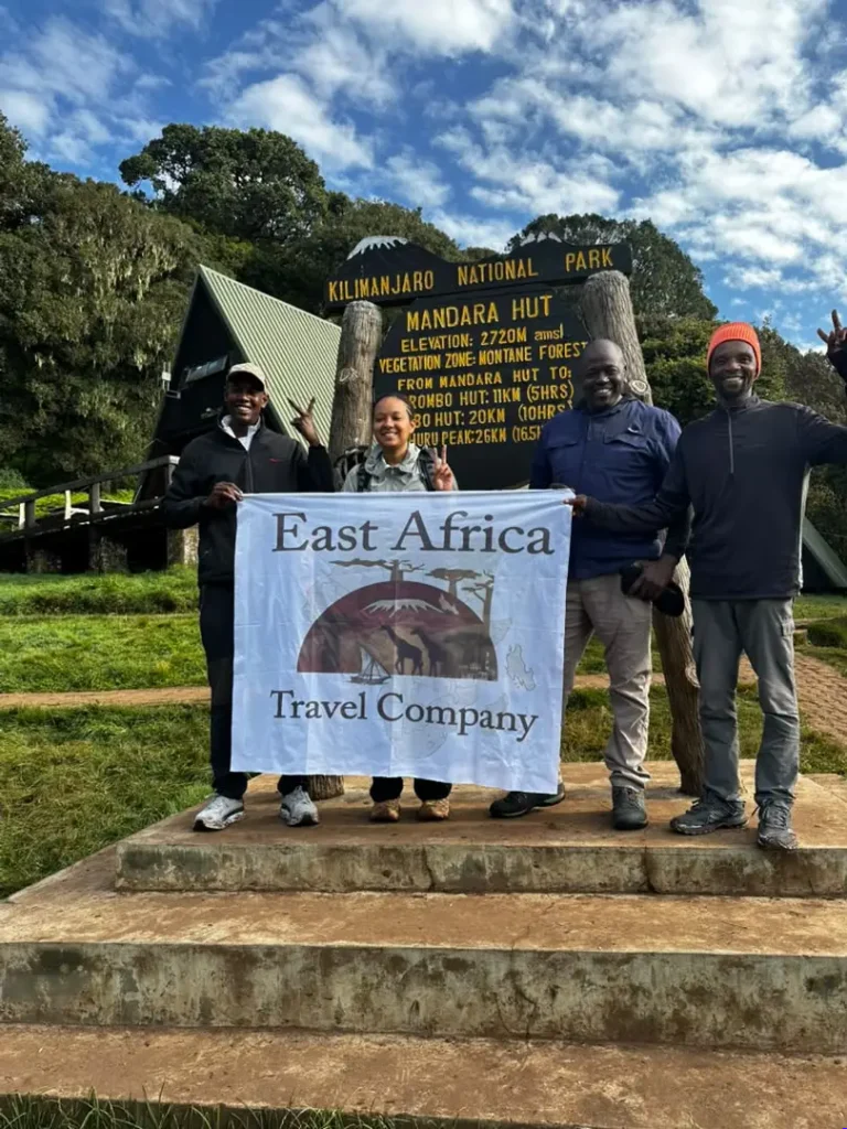 Kilimanjaro Day Hike: 1 Epic Trek Kilimanjaro Day Hike - EAST