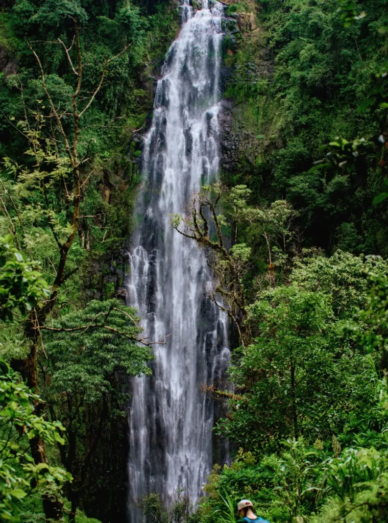 Materuni Waterfall Hike: Breathtaking Adventure Materuni Waterfall Hike - EAST Materuni Waterfall Hike: Breathtaking Adventure Materuni Waterfall Hike - EAST
