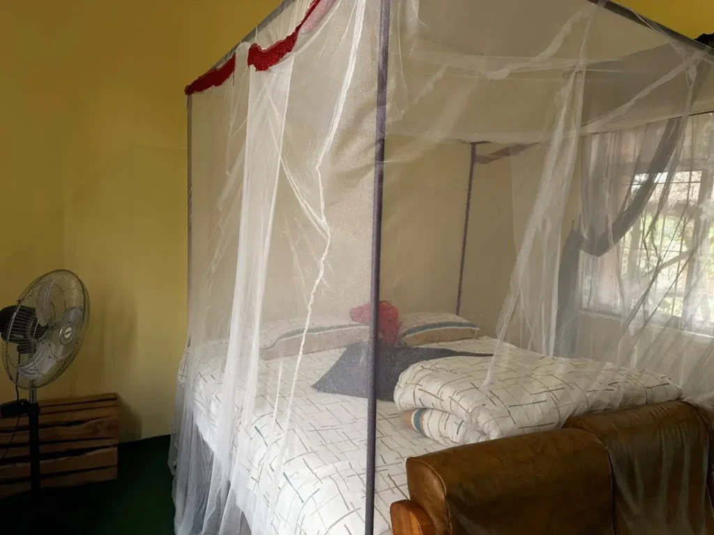 East Homestay  - EAST