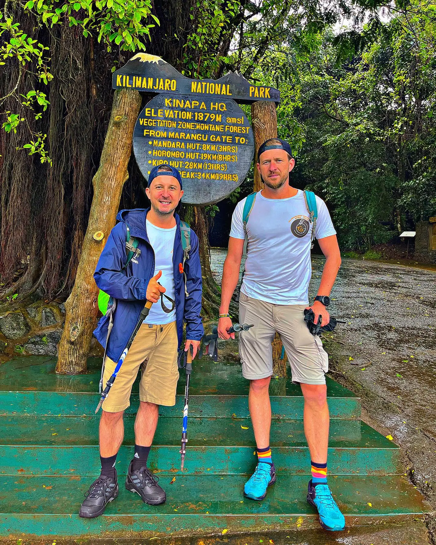 Kilimanjaro Day Hike: 1 Epic Adventure  - EAST