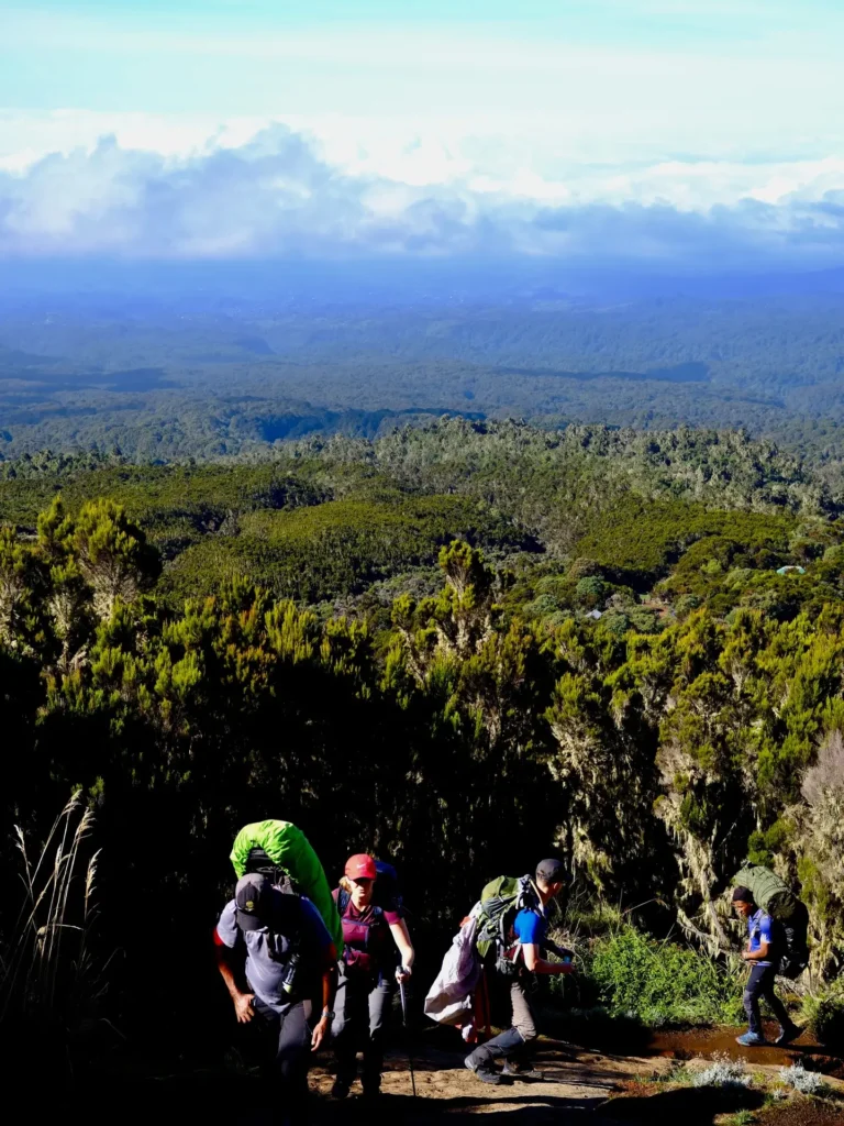 Kilimanjaro Day Hike: 1 Epic Adventure  - EAST