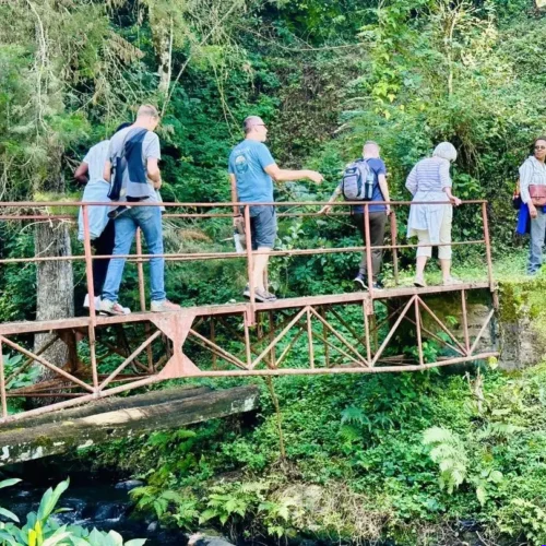 Kilimanjaro Day Hike: 1 Epic Trek Kilimanjaro Day Hike - EAST