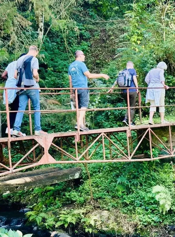 Kilimanjaro Day Hike: 1 Epic Trek Kilimanjaro Day Hike - EAST