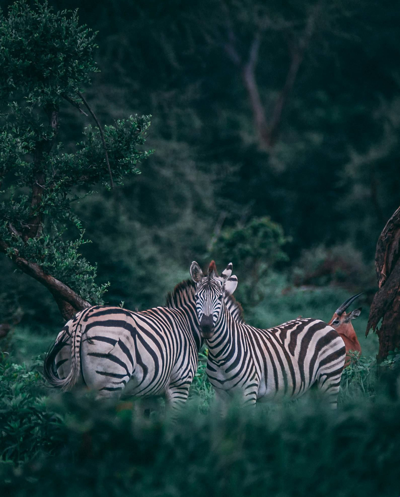 Travel Adventures: 10 Stunning Escapes Travel Adventures - EAST Travel Adventures: 10 Stunning Escapes Travel Adventures - EAST
