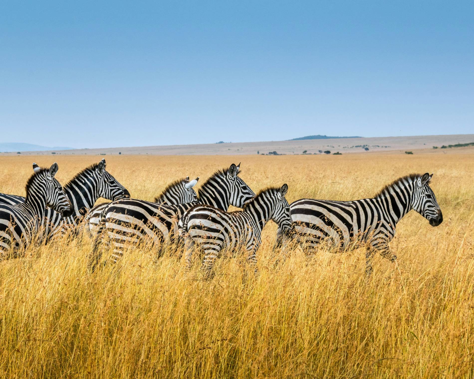 Travel Adventures: 10 Stunning Escapes Travel Adventures - EAST Travel Adventures: 10 Stunning Escapes Travel Adventures - EAST