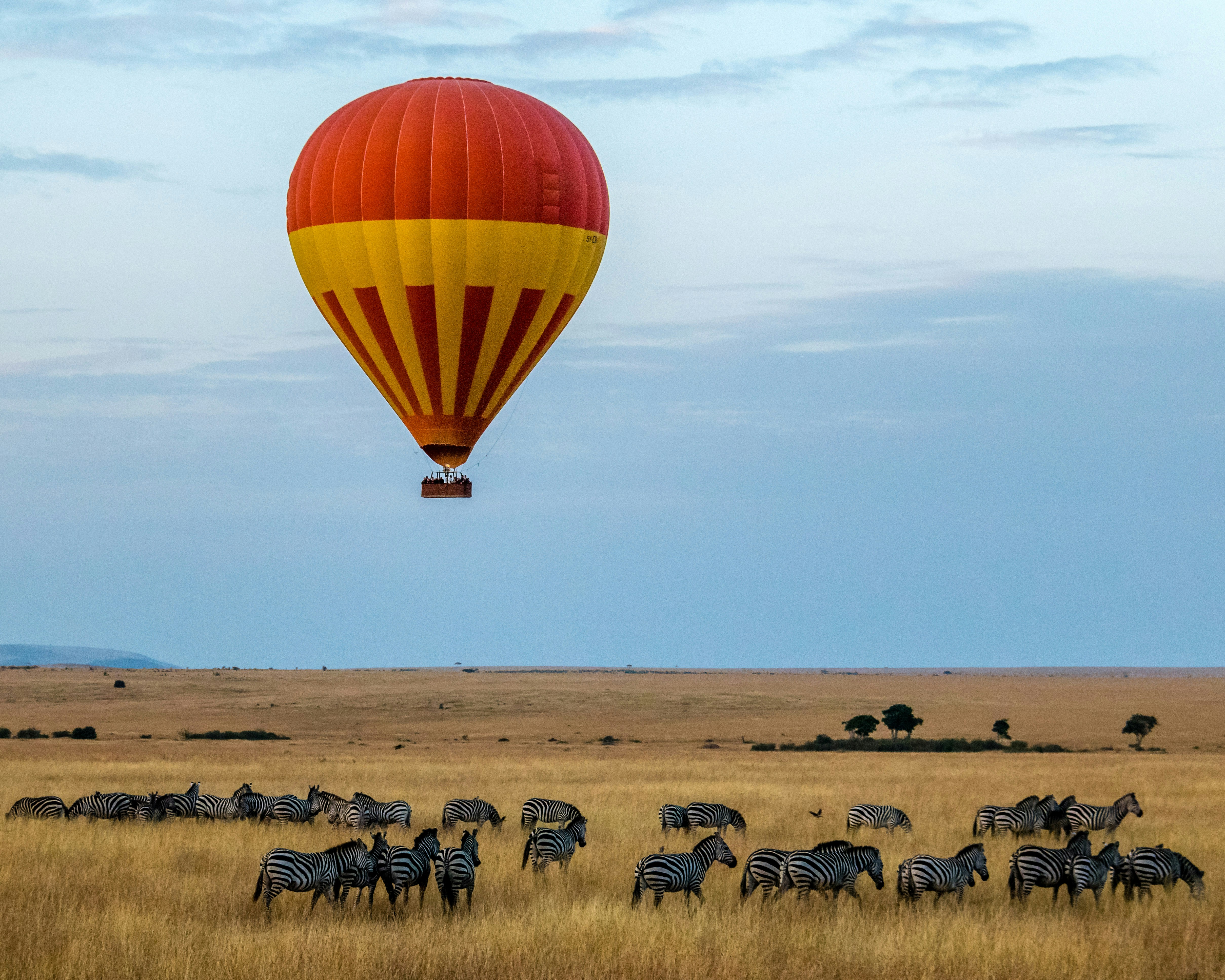 About Us: #1 Epic Tanzania Safari Tours About Us - EAST About Us: #1 Epic Tanzania Safari Tours About Us - EAST