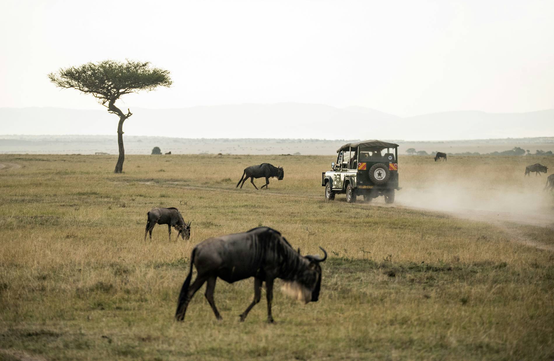 East Africa Travel Company: Top 5 Adventures East Africa Travel Company - EAST
