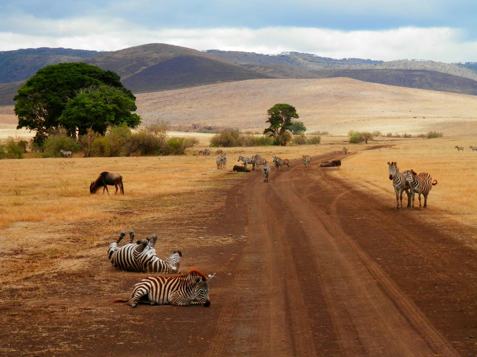 Tanzania Visa Information: Secret Tips Tanzania Visa Information - EAST