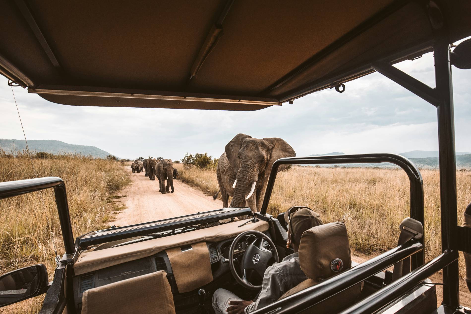 African Safari Adventures  - EAST