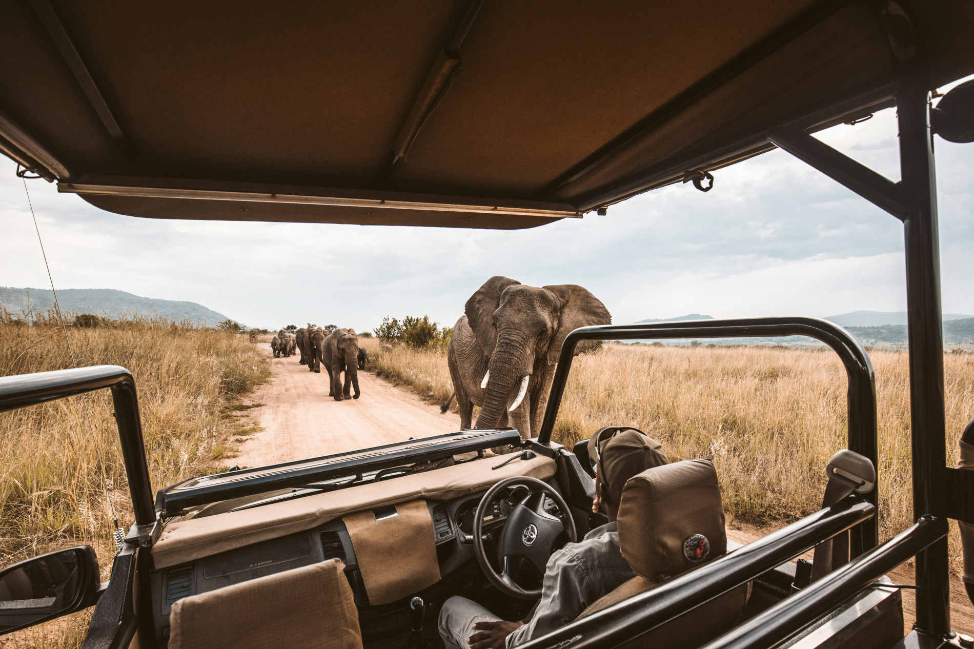 African Safari: Unforgettable Adventures - EAST African Safari: Unforgettable Adventures - EAST