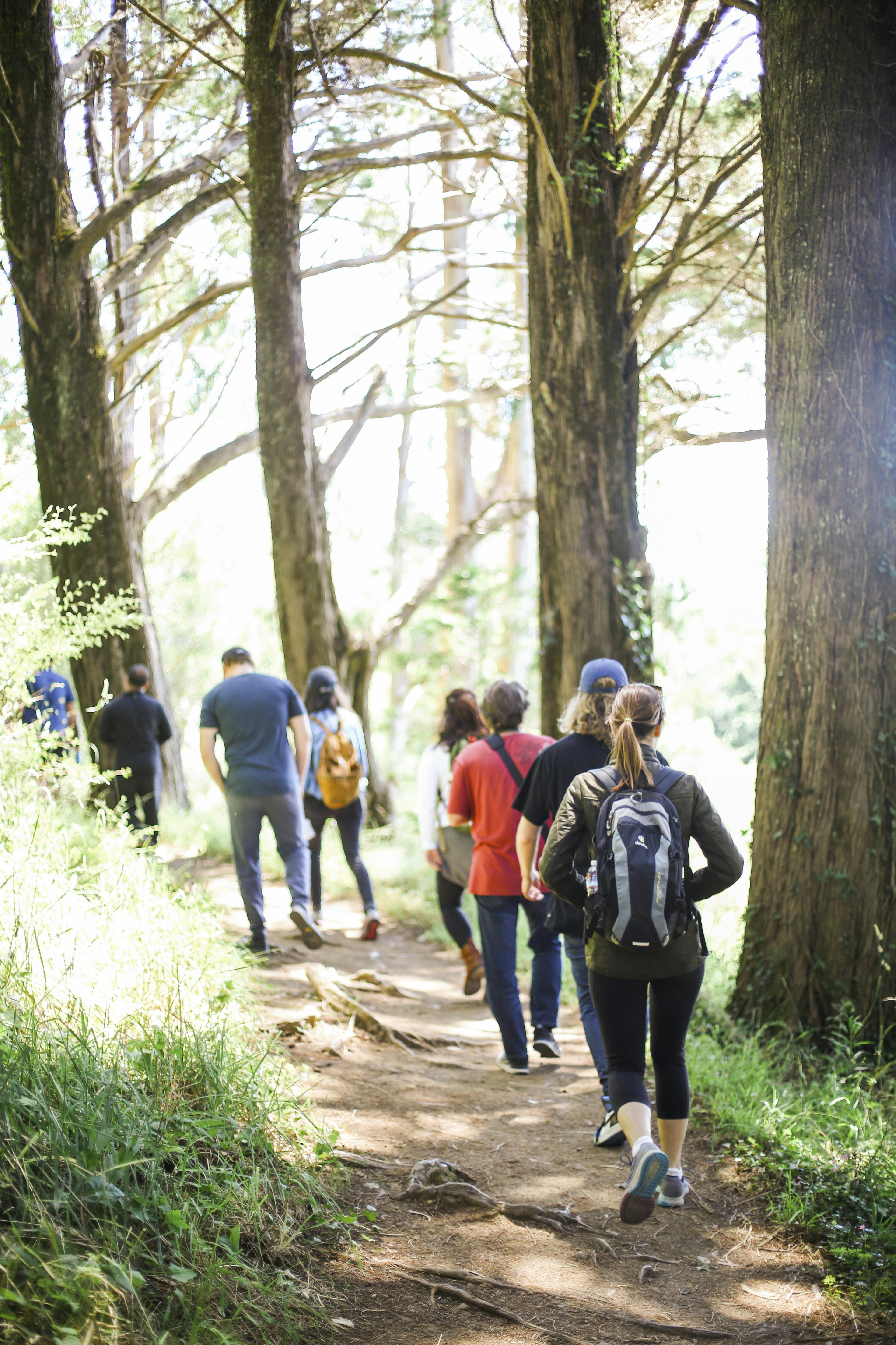 Kilimanjaro Day Hike: 1 Epic Adventure  - EAST