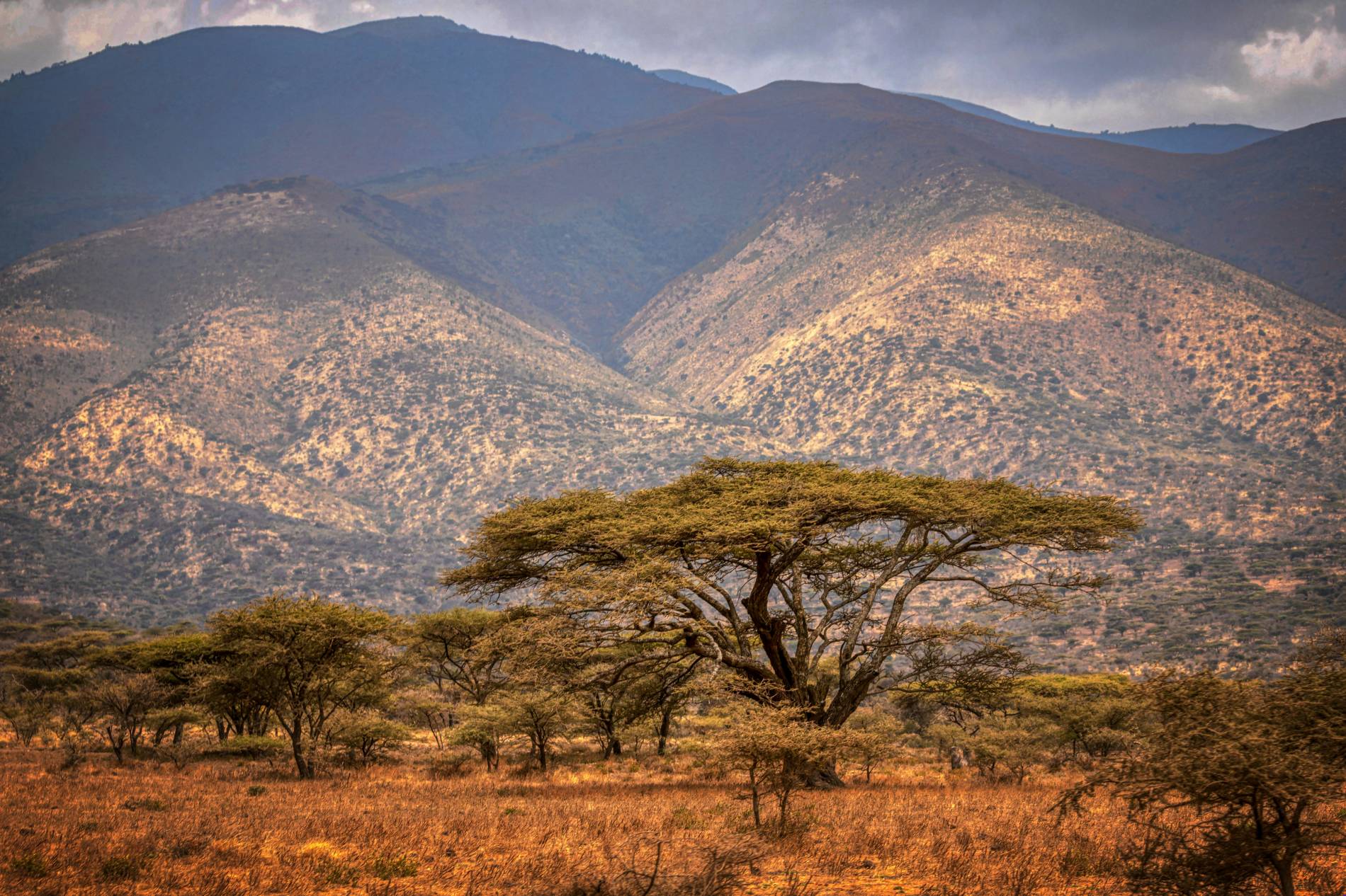 Best Time to Visit Tanzania  - EAST