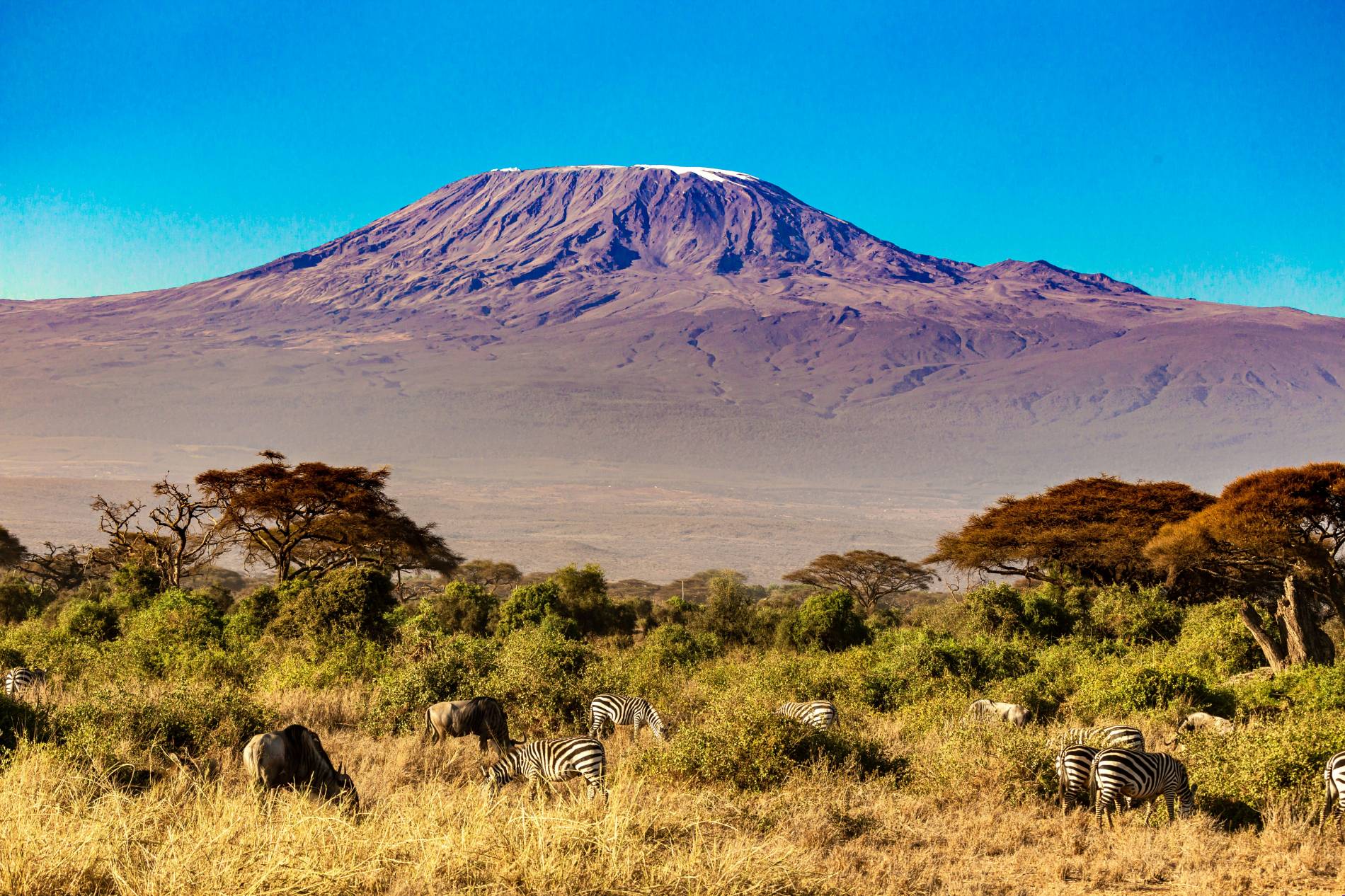East Africa Travel East Africa Travel - EAST